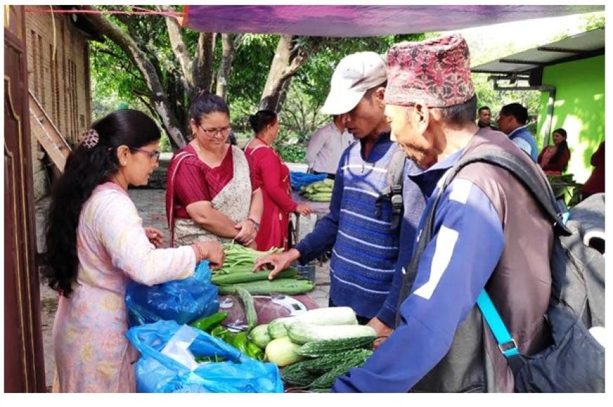 पाँचखालमा साप्ताहिक कृषि हाटबजार