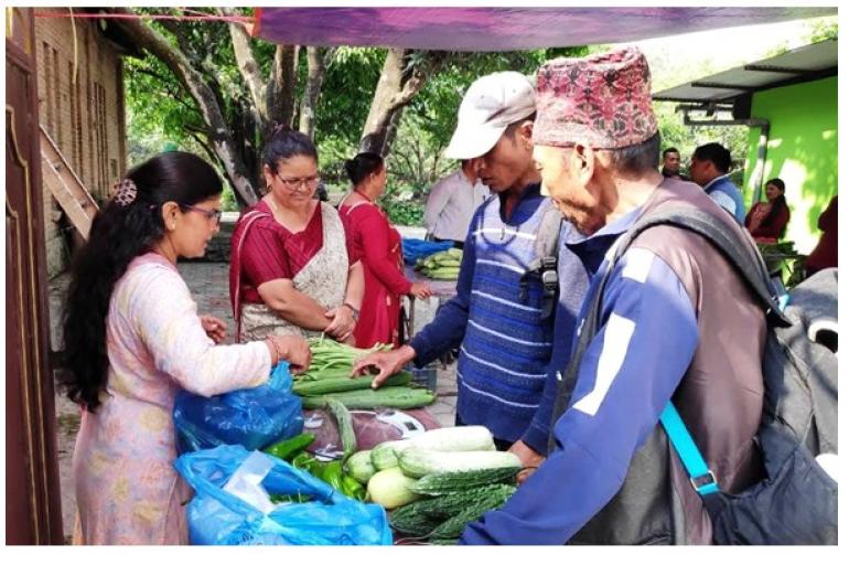 पाँचखालमा साप्ताहिक कृषि हाटबजार